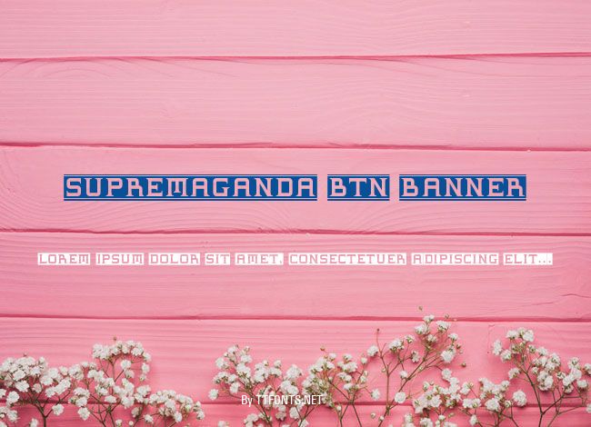 Supremaganda BTN Banner example